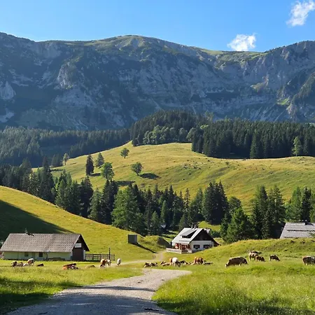 Almhuette Am Steirischen Seeberg